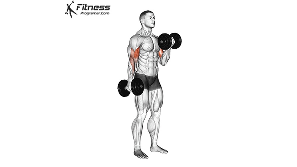 How to Curl Dumbbells: Master Perfect Form for Bigger Arms