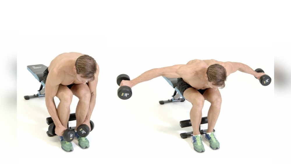 How to Work Rear Delts With Dumbbells
