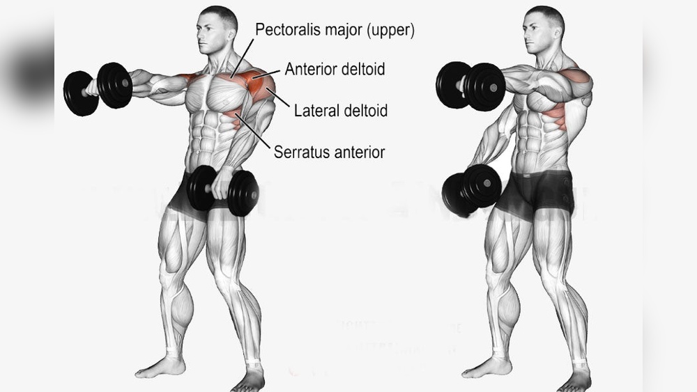 What Do Dumbbell Front Raises Work
