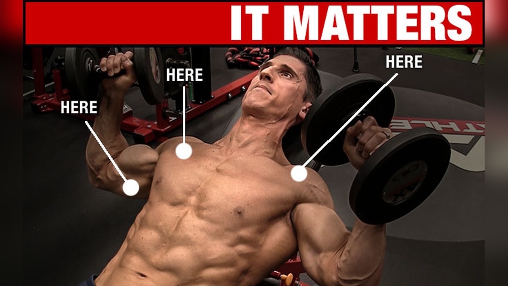 What Does Flat Dumbbell Press Target