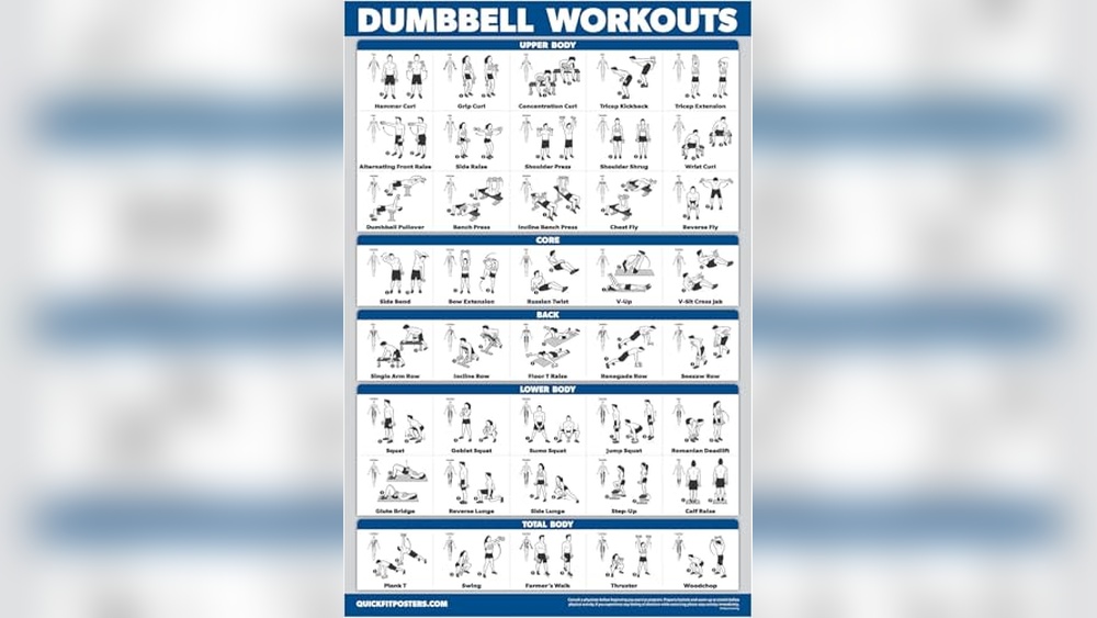 Best Back Exercises Dumbbells