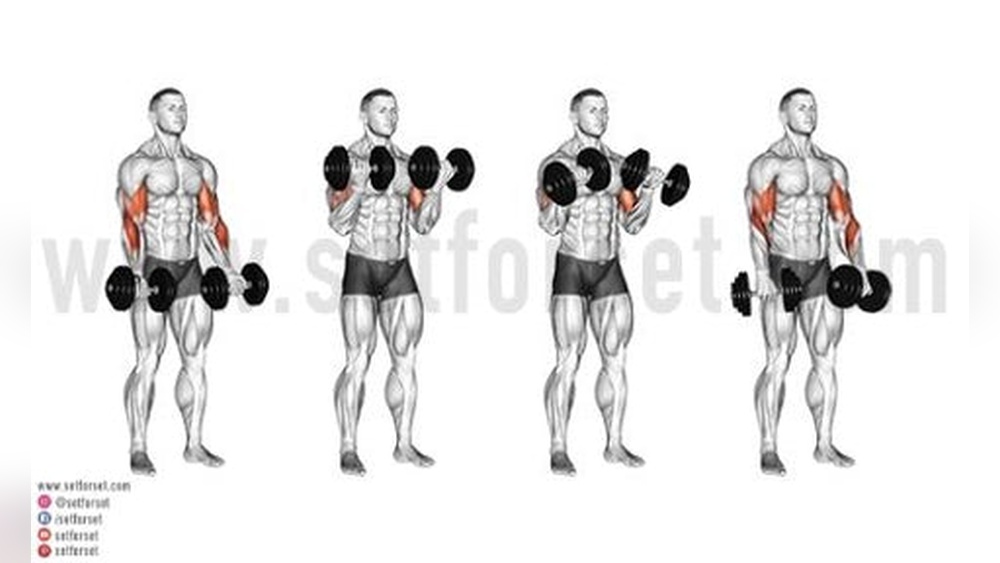 3 Best Bicep Exercises With Dumbbells