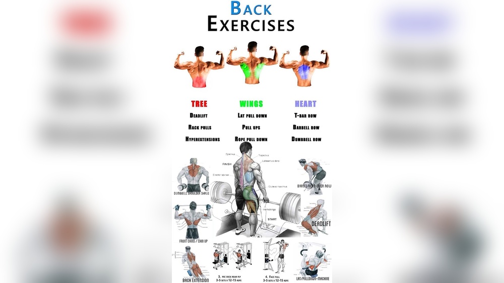 3 Best Dumbbell Back Exercises