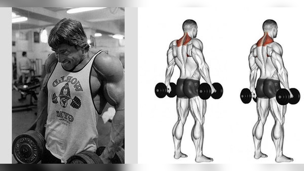 Are Dumbbell Shrugs Worth It