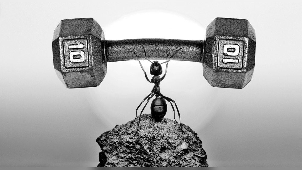 Are Dumbbells Double the Weight