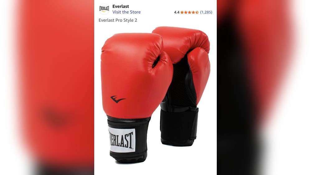 Are Everlast Boxing Gloves Any Good