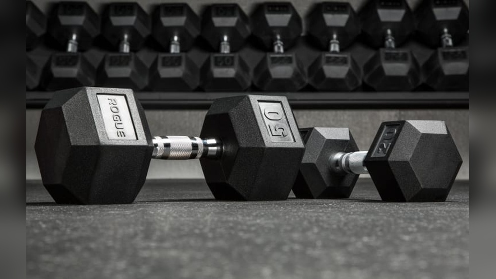 Are Rogue Dumbbells Worth It