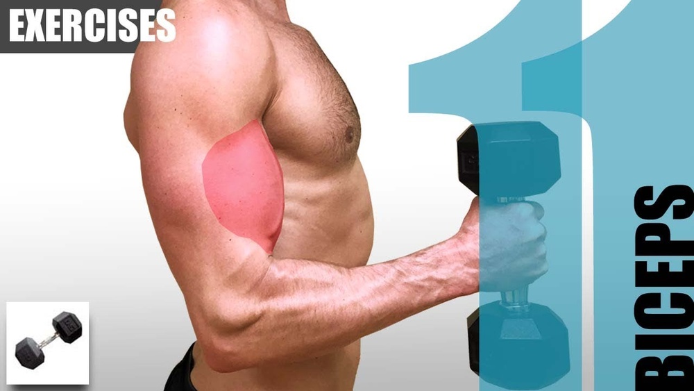 Best Arm Workout With One Dumbbell