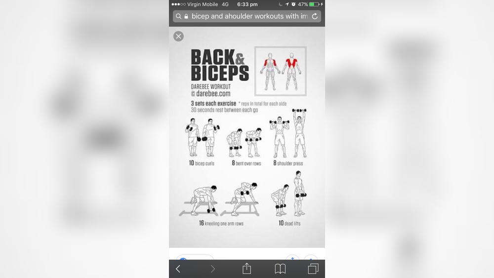 Best Back And Bicep Workout With Dumbbells