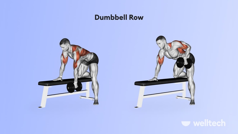 Best Back And Shoulder Exercises With Dumbbells