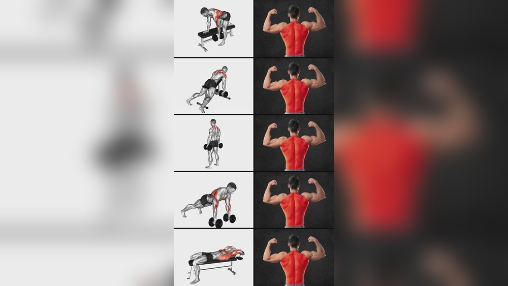 Best Back Dumbbell Workouts