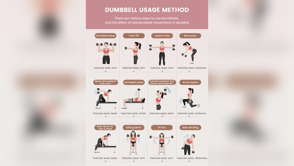 Best Beginner Dumbbell Workout Routine