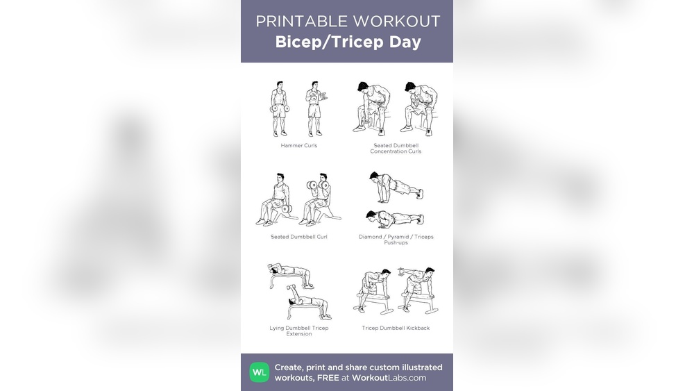 Best Bicep Tricep Dumbbell Workout