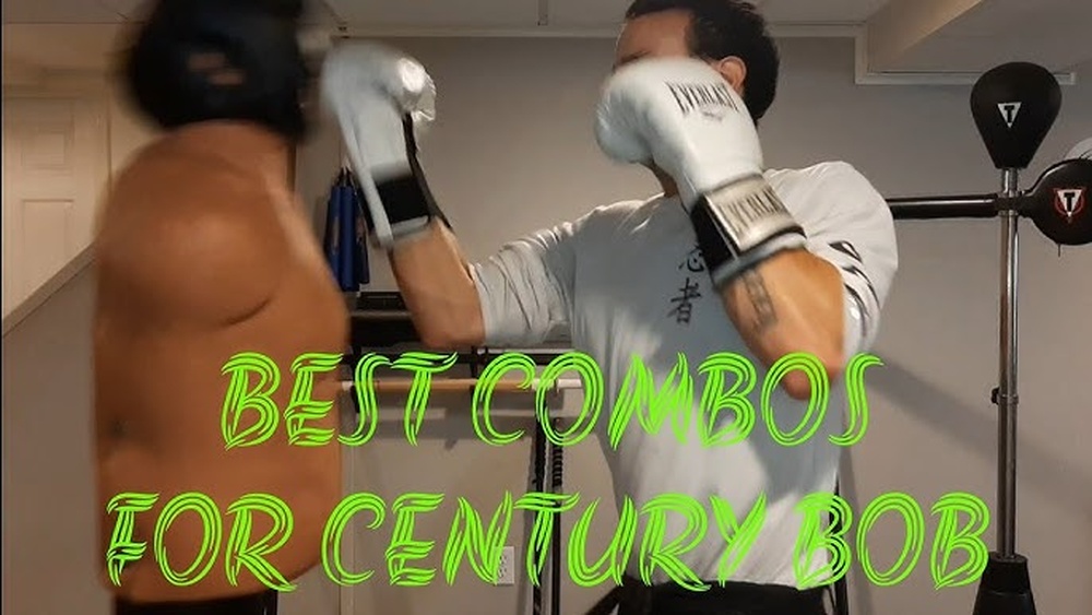 Best Boxing Gloves for Century Bob