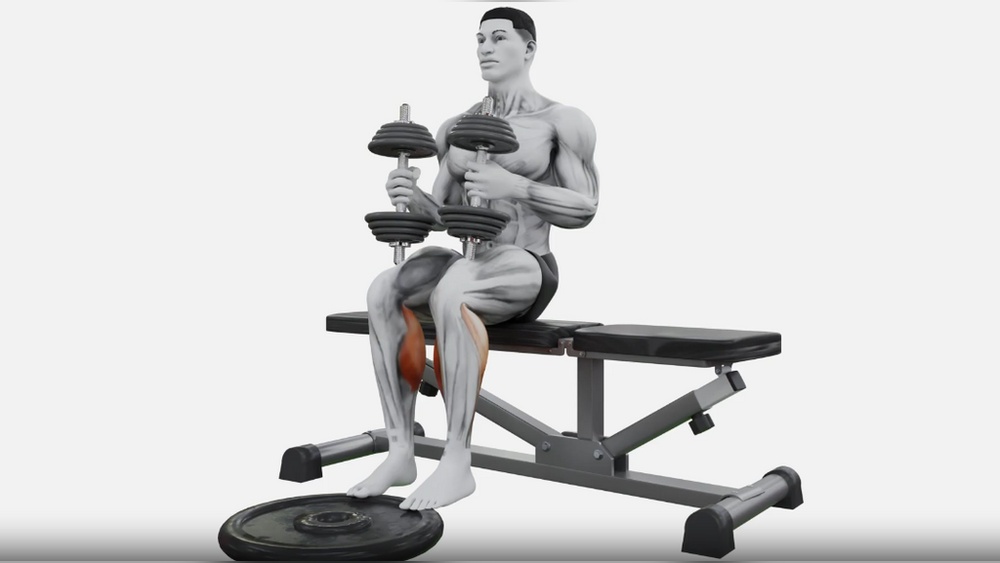 Best Calf Exercises Dumbbells