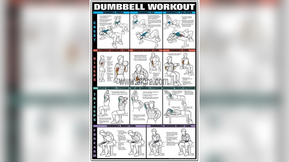 Best Chest And Arm Workout With Dumbbells