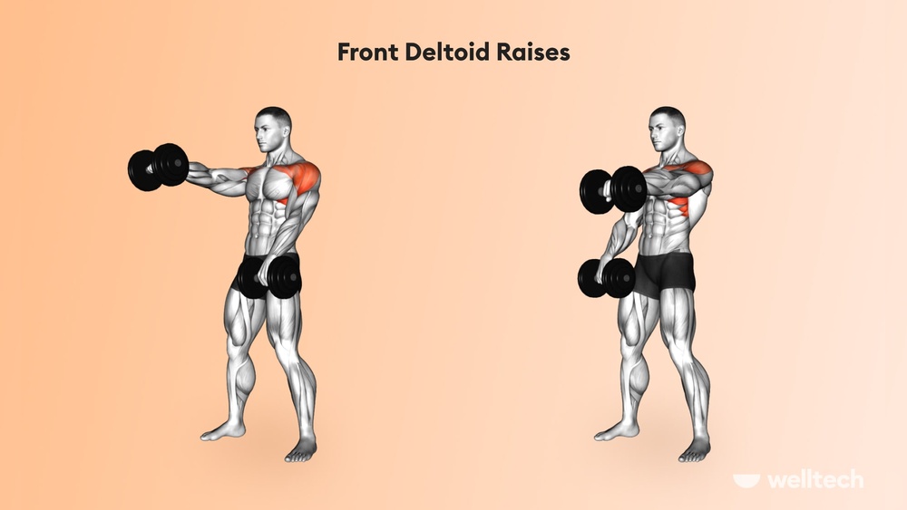Best Chest And Shoulder Dumbbell Workout