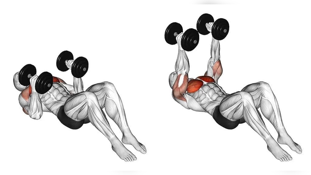 Best Chest Exercises With Dumbbells Without Bench