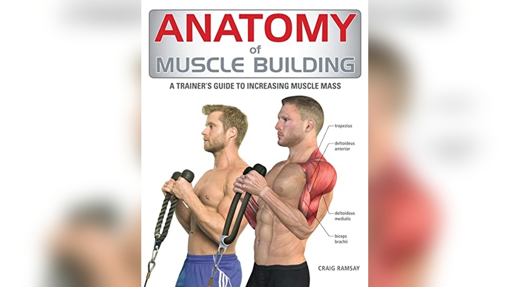 Best Dumbbell Back Exercises for Mass