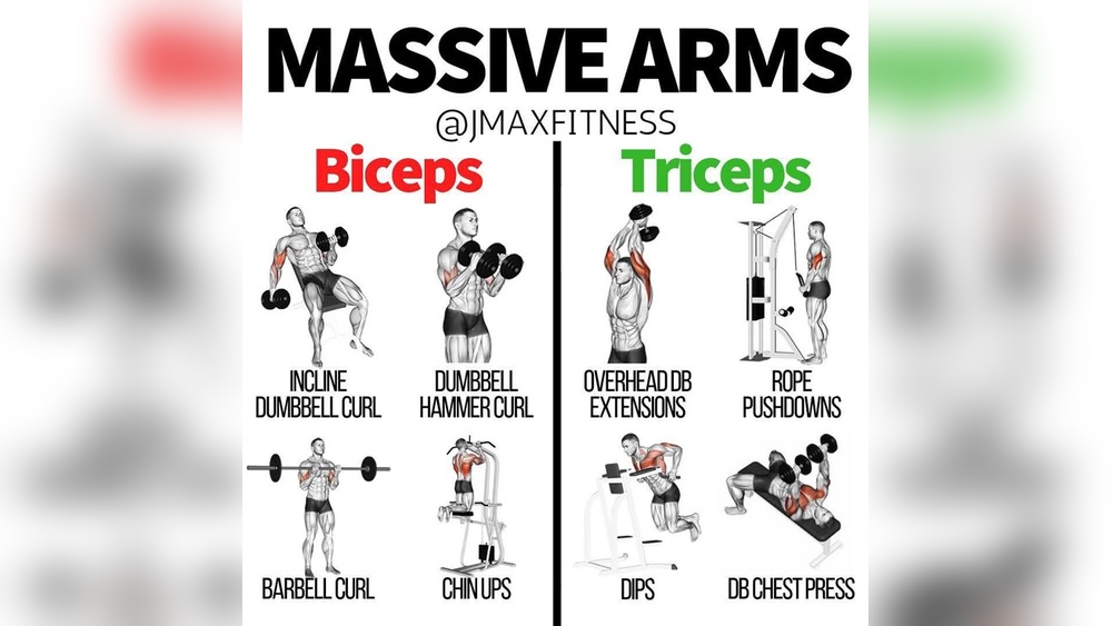 Best Dumbbell Exercises for Biceps And Triceps