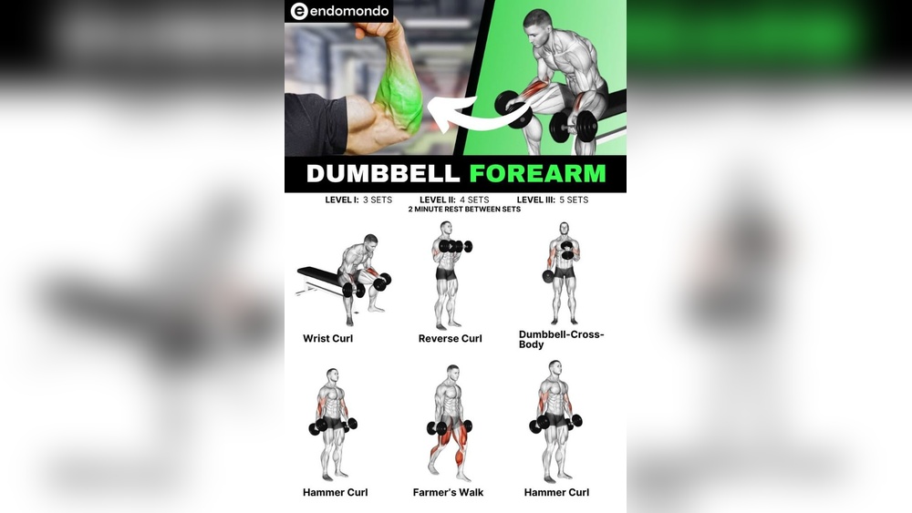Best Dumbbell Forearm Workouts