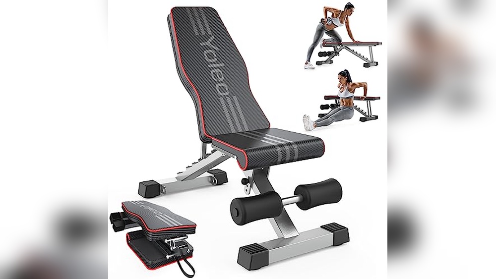Best Seated Dumbbell Exercises