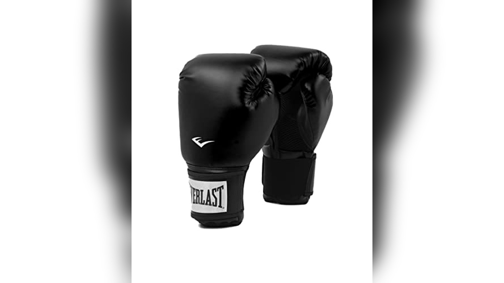 Best Training Boxing Gloves 2017