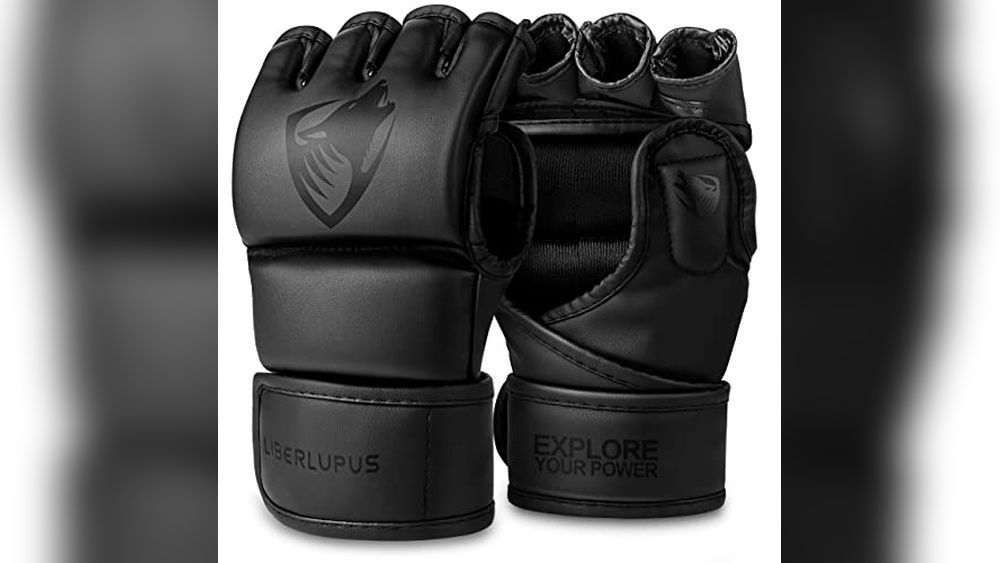 Best Training Gloves Boxing 2018 Mma