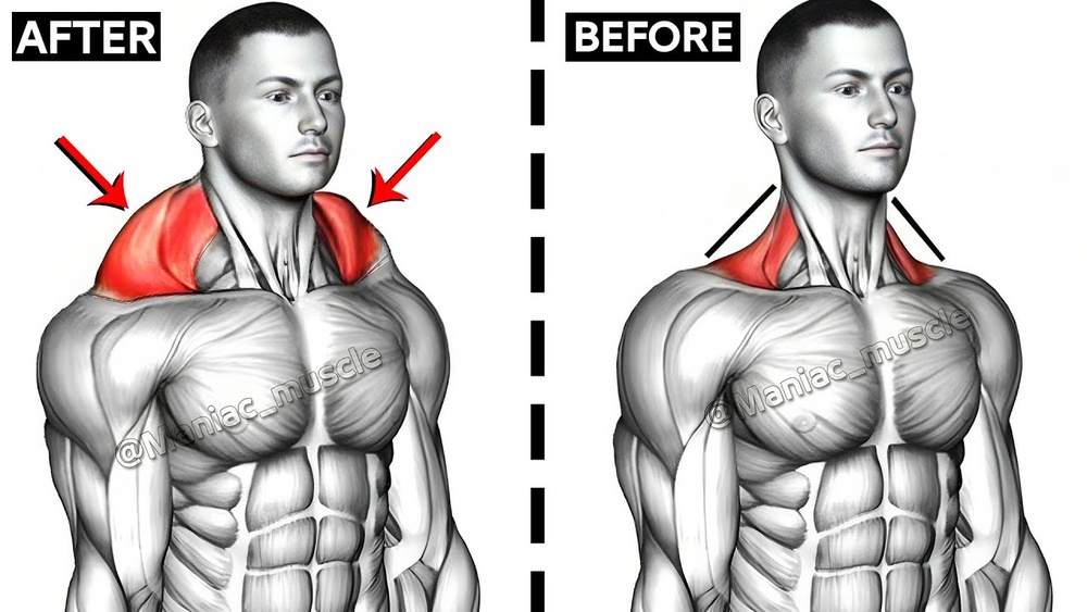 Best Trap Exercises Dumbbells