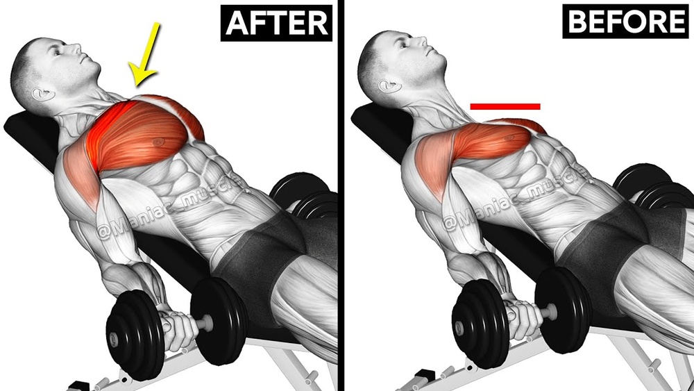 Best Upper Chest Dumbbell Exercises