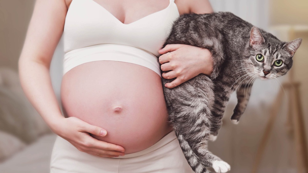 Can a Pregnant Woman Clean a Litter Box With Gloves