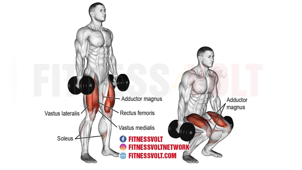 Can Dumbbell Squats Build Muscle
