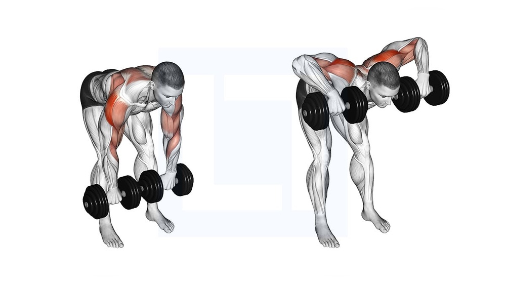 Can You Do Face Pulls With Dumbbells