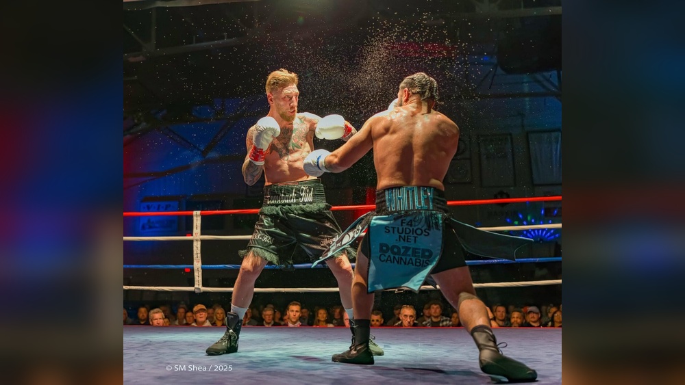 Can You Kill Dozer'S With Boxing Gloves