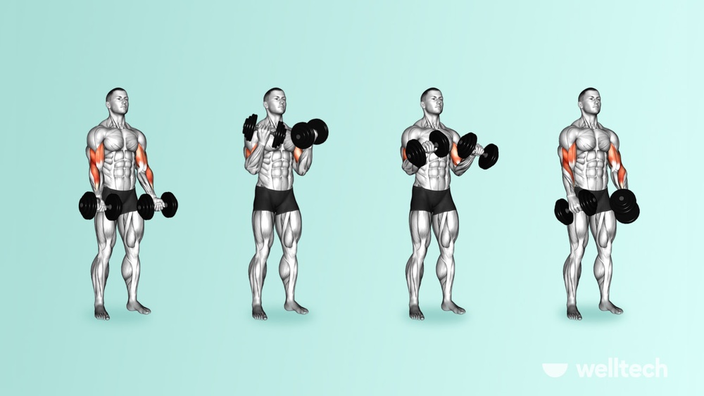 Do Dumbbell Curls Work Chest