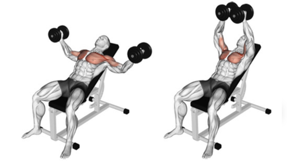 Do Dumbbell Flyes Work Upper Chest