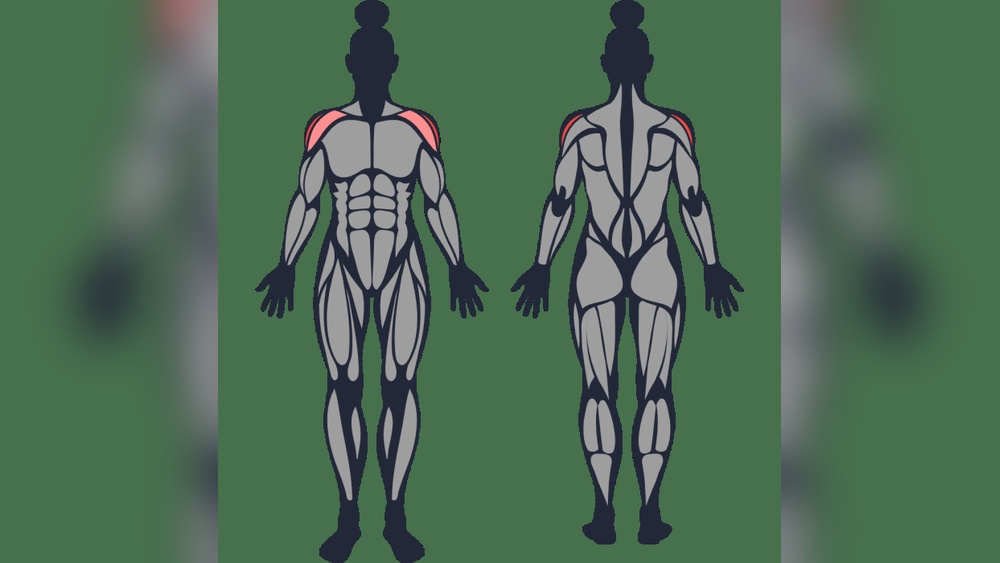 Do Dumbbell Lateral Raises Work