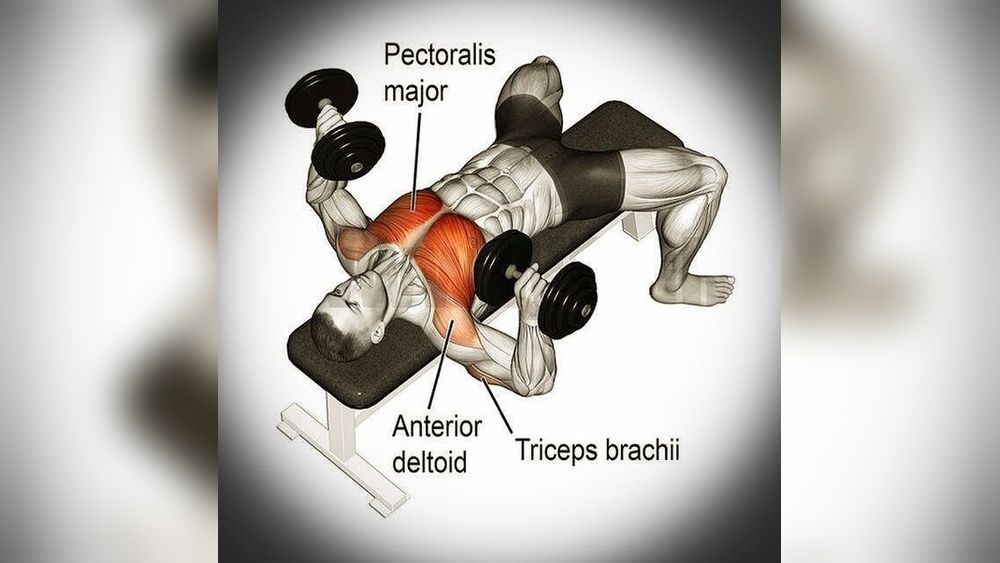 Do Dumbbell Presses Work Chest