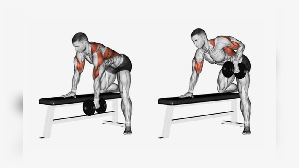 Do Dumbbell Rows Work Lats