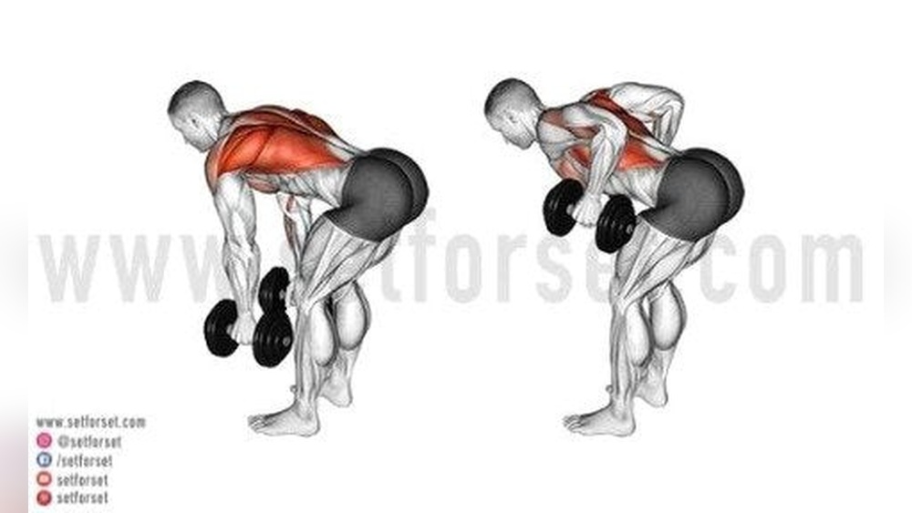 Do Dumbbell Rows Work Shoulders