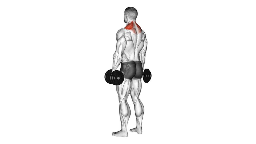 Do Dumbbell Shrugs Work Back