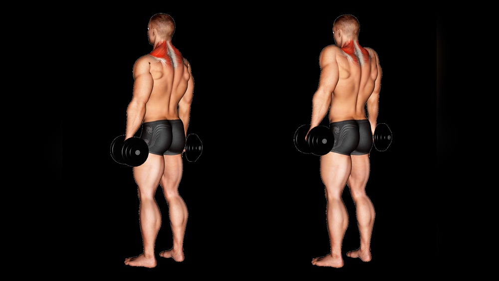 Do Dumbbell Shrugs Work Shoulders