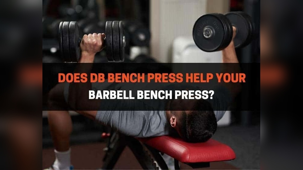 Does Dumbbell Press Help Bench Press