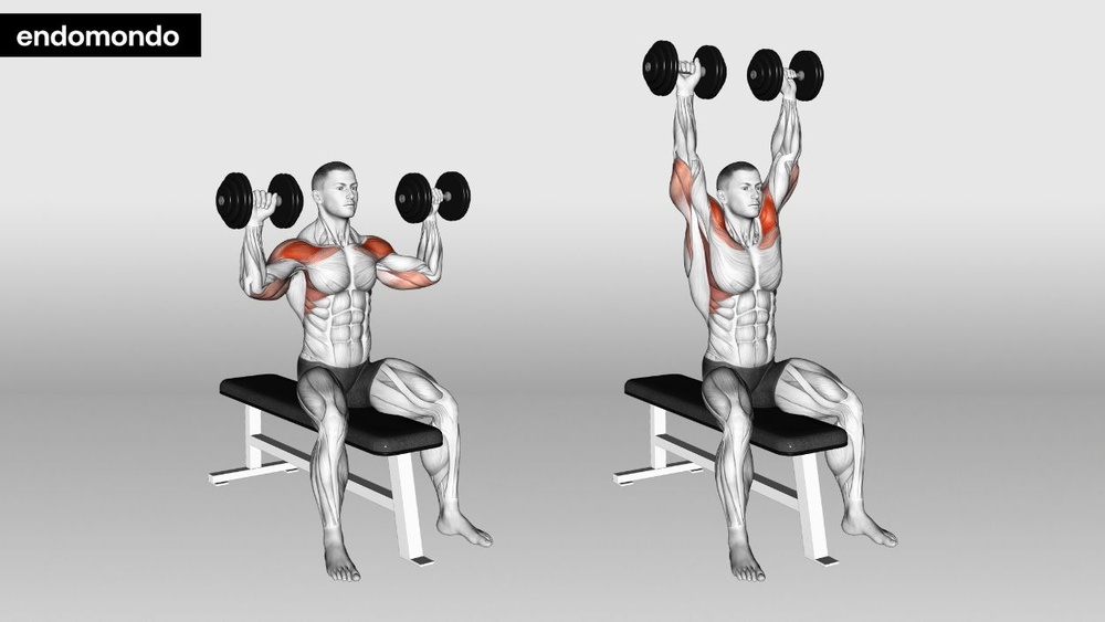 Does Dumbbell Shoulder Press Work Triceps