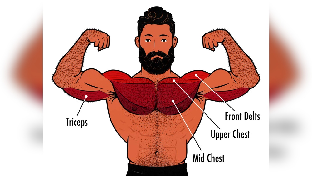 Does Incline Dumbbell Press Work Chest