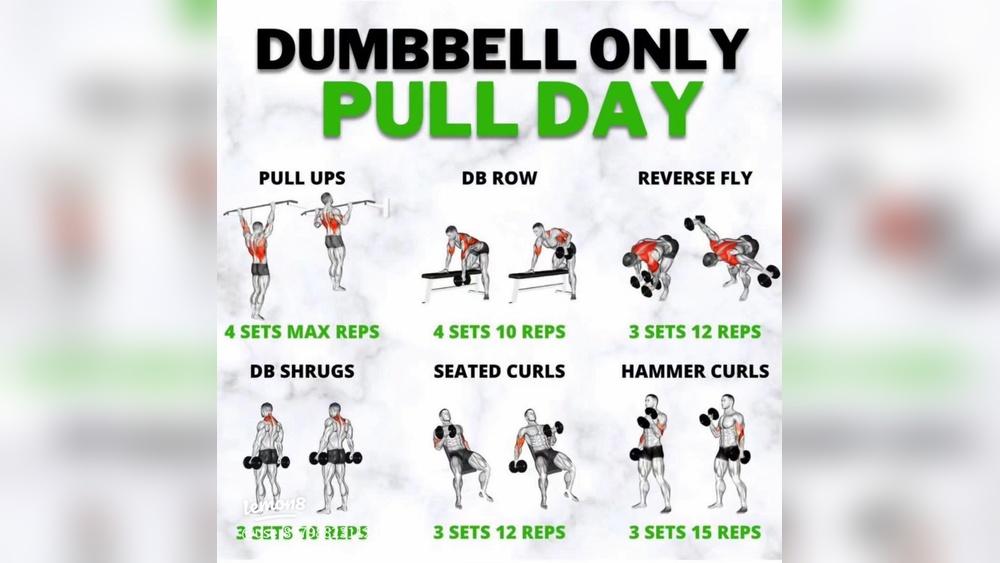How Many Dumbbells Per Day