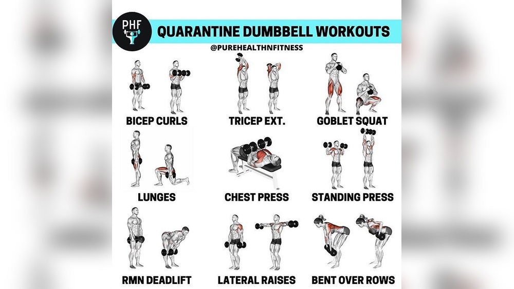 How Many Exercises Can You Do With Dumbbells