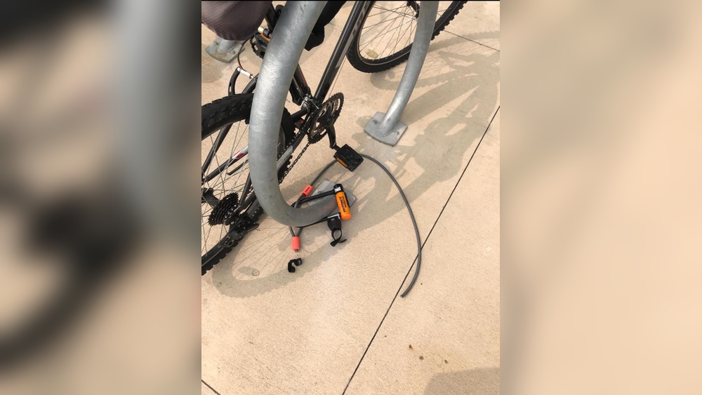 How Many People Use Bike Locks