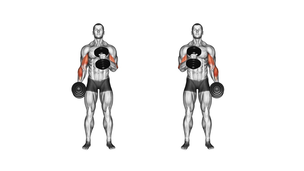How Many Sets Dumbbell Curls