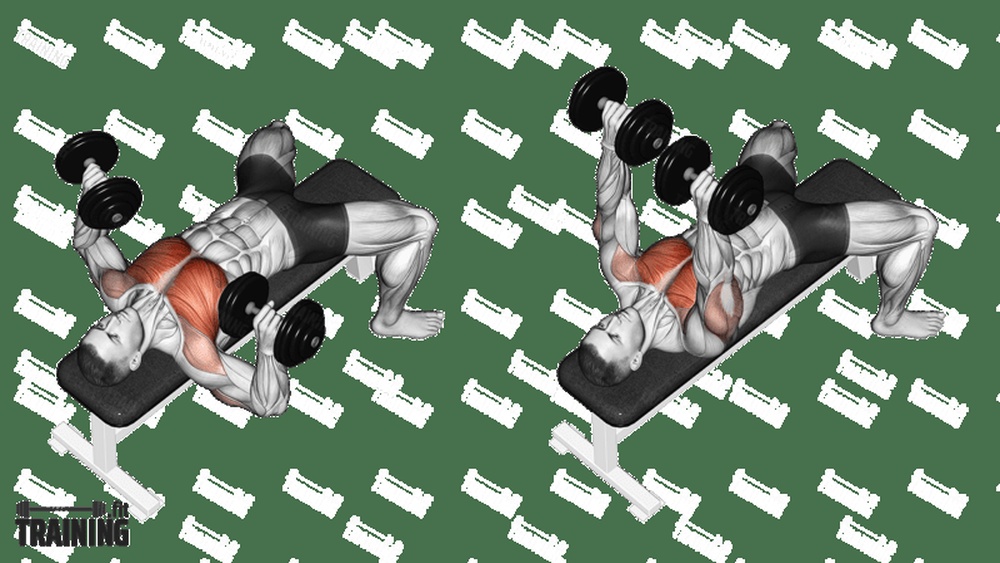 How Much Dumbbell Chest Press